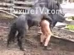 Horse Fucks and Broad Sucks